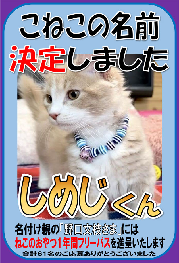 猫カフェ