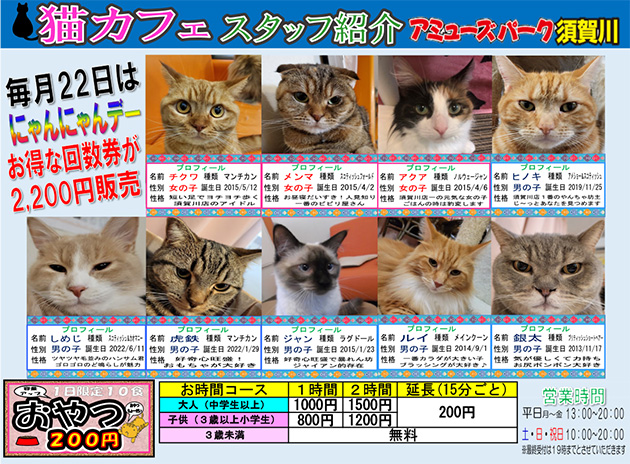 猫カフェ