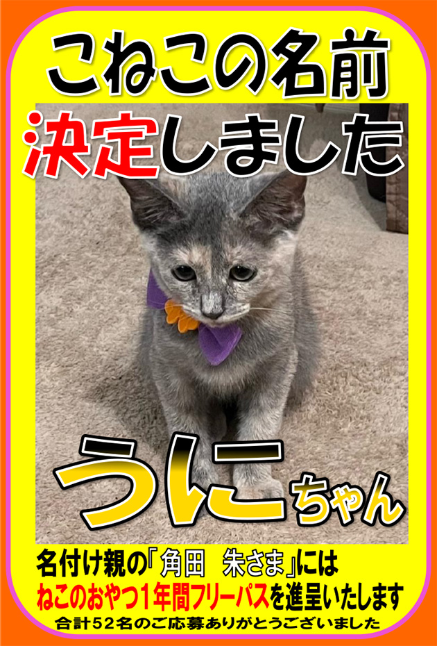 猫カフェ