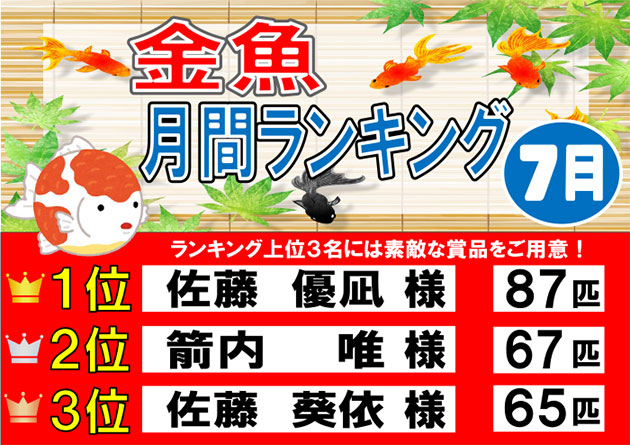 フィッシング