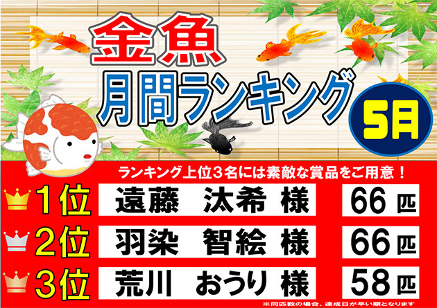 フィッシング