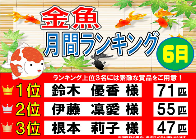 フィッシング
