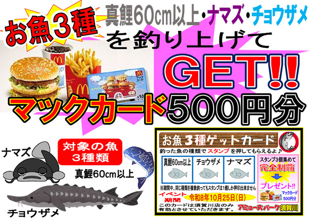 フィッシング