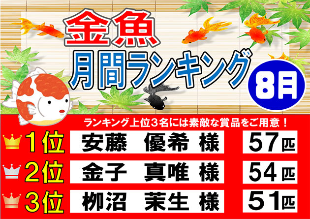 フィッシング