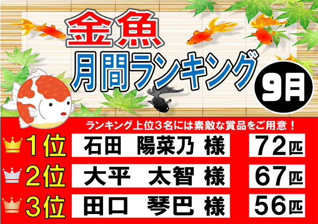 フィッシング